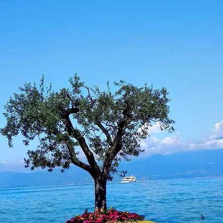 Mahatma View Λατζίζε